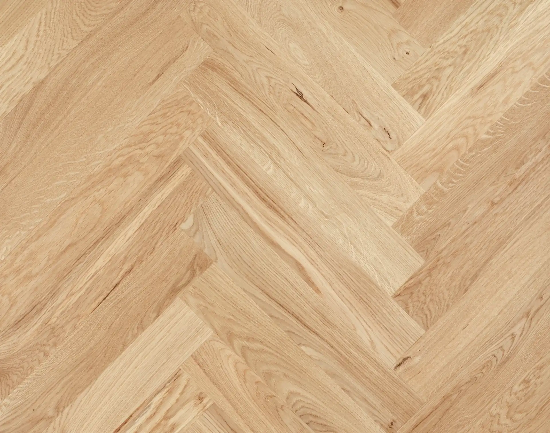 About tree floor